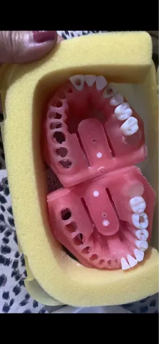 Manequim de endodontia 