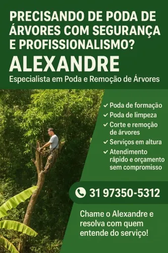 Poda e corte de ÁRVORES