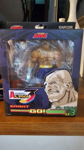 Sagat Storm Arena