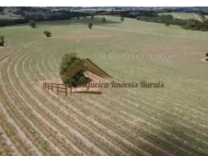 Sítio com 26,5 Alqueires, com excelente casa sede, ótimo para agricultura, em Itapetininga