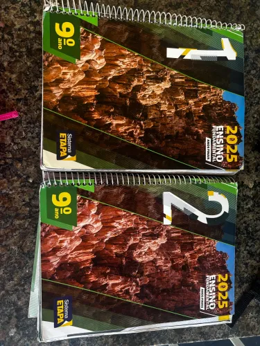 Módulo sistema etapa 9 ano