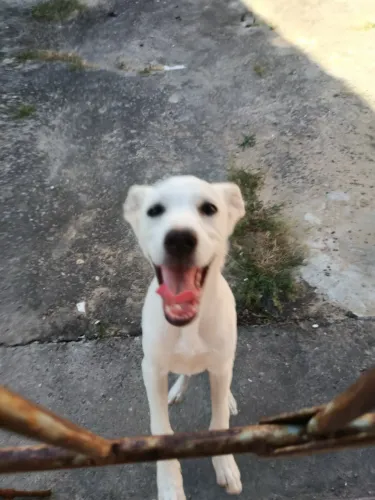 DOAÇÃO RESPONSÁVEL ?