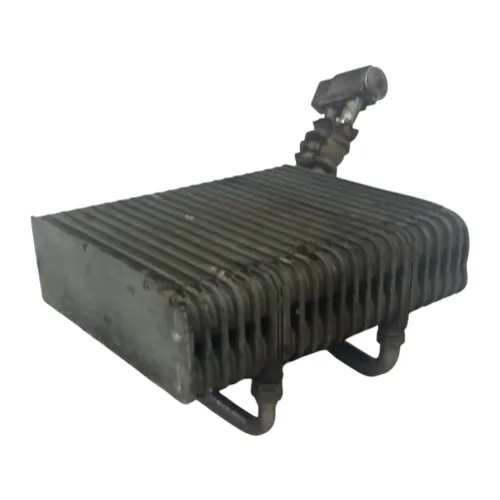 Evaporadora Renault Scenic 2.0 16v 1998 1999 2000 A 2010