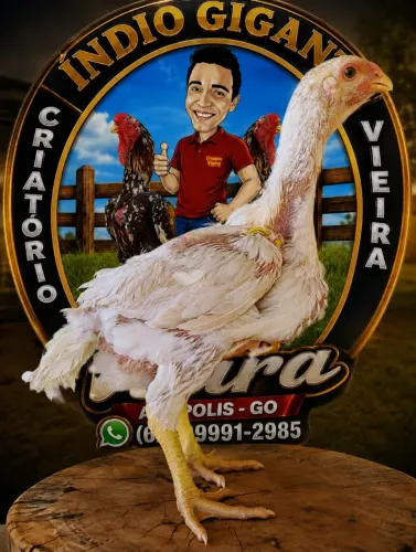 Índio gigante