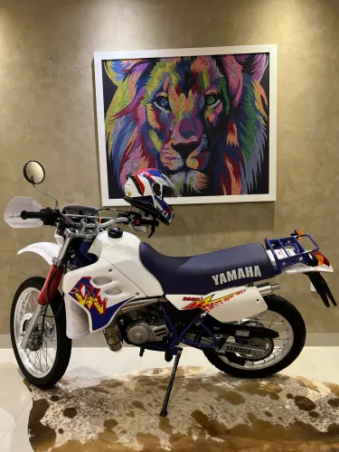 DT 200 R