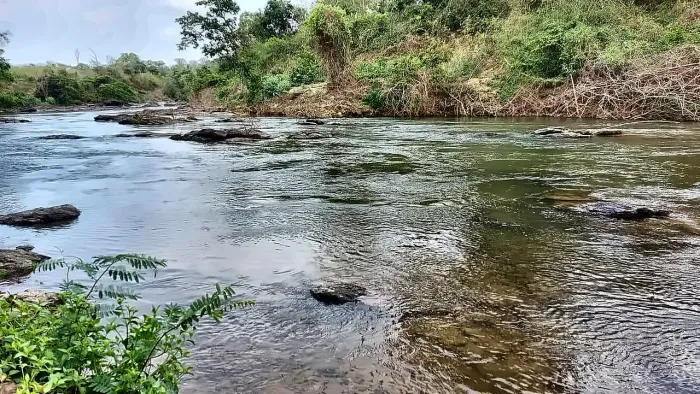 ! Chácara 2 Hectares Água no Fundo Padre Bernardo Aceita Carro -