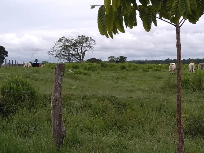 400 hectares por R$3 milhões no Pará pronta 80% aberta em pasto
