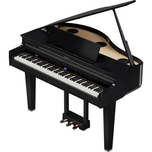Piano Roland GP-6-PE  De Cauda Digital