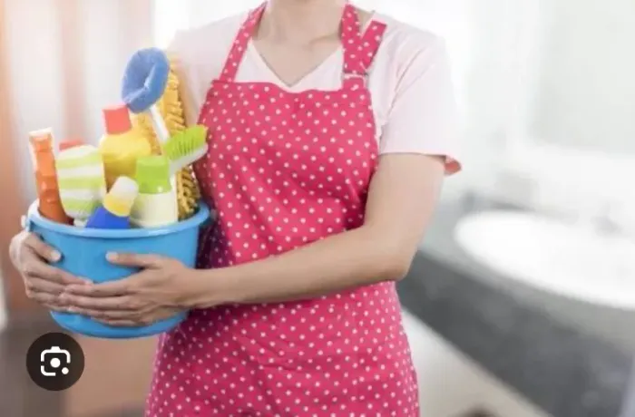 Empregada doméstica 