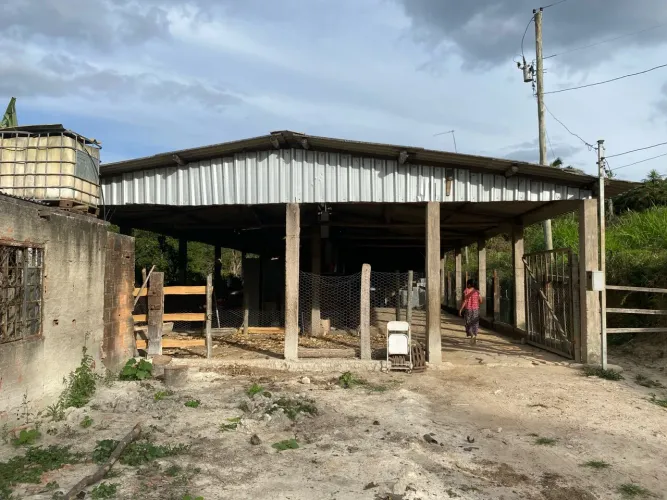 Galpão em terreno de 25 mil m2 com muita água. na Água Limpa (Caeté)