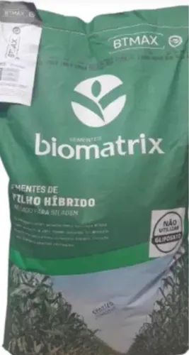Semente de milho híbrida BM815 pro 3 - 20 kg