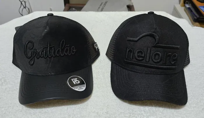 Bonés da Puro Sentido e Nelore de tela original