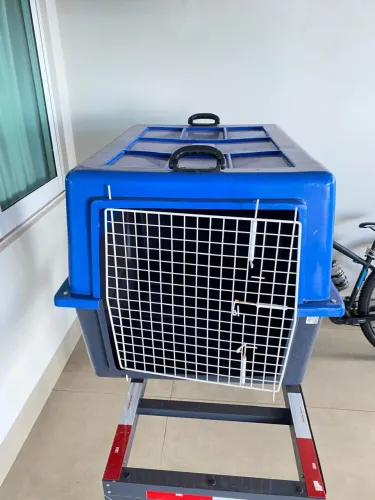 Caixa de transporte grande
