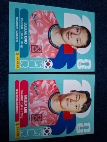 Figurinhas da copa (Vendas somente para Itajaí)