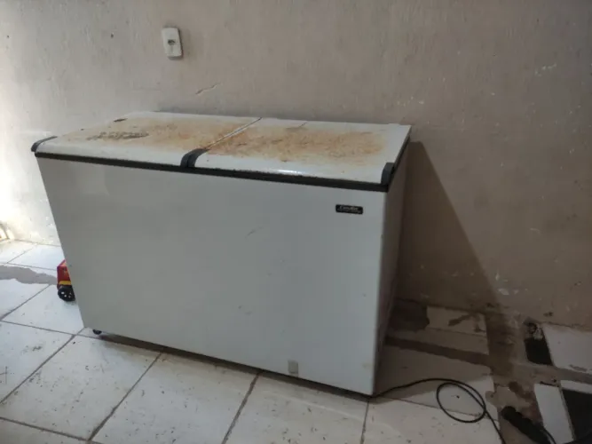 Freezer horizontal 