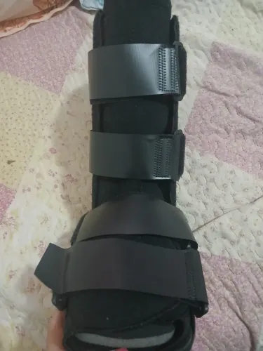 Bota