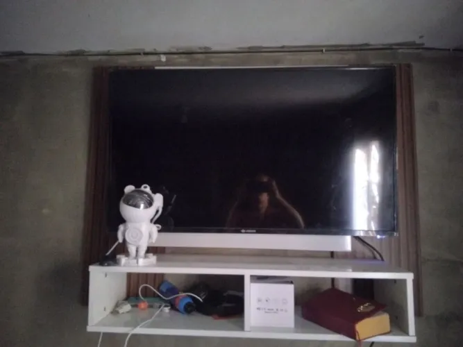 Vendo TV 43 polegadas e painel