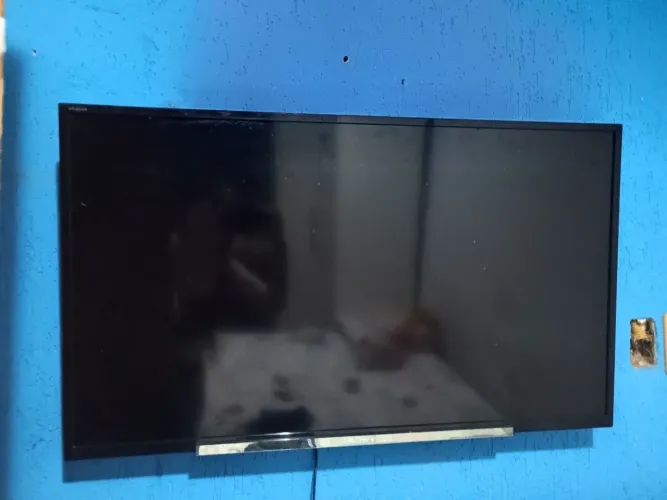 Televisão