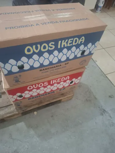 Caixa papelão para mudança