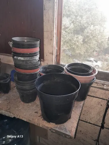 Jarros de Plantas Usados