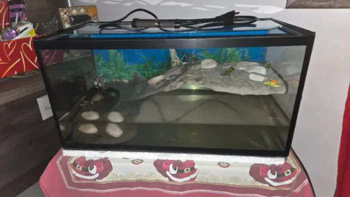Aquaterrário para tartarugas 57x28x28 + aquecedor