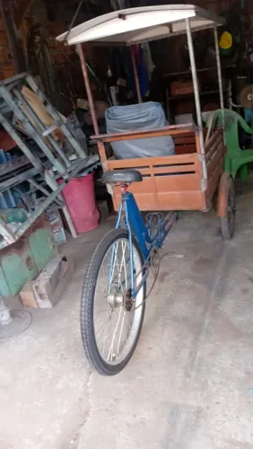 Bike triciclo