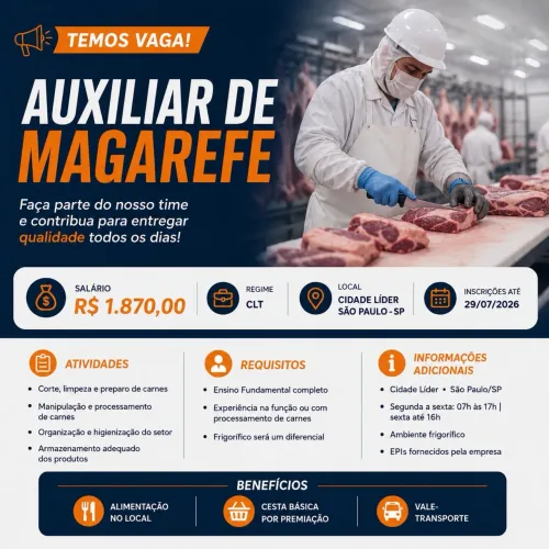 Auxiliar de Magarefe