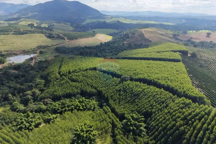 AZENDA SANTA FÉ DO RIO PARDO A VENDA EM BOTELHOS MG