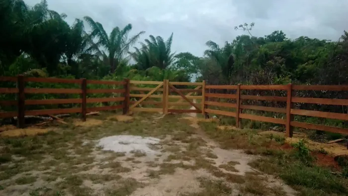 Fazenda a caminho salinas muni são João pirabas 500 hectares