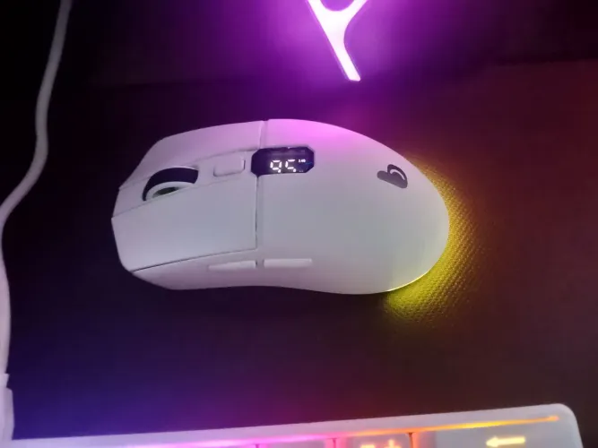 Mause sem fiu