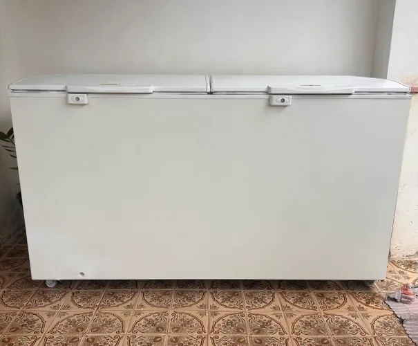 Freezer Electrolux