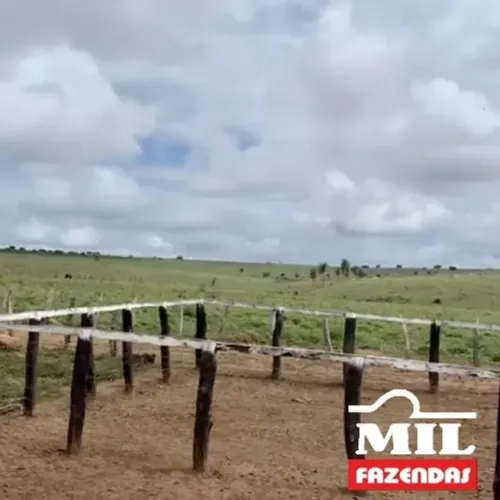 Fazenda 310 ALQ (1500 HA) São Domingos do Maranhão-Ma