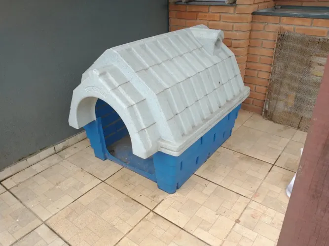 Casinha enorme para cachorro