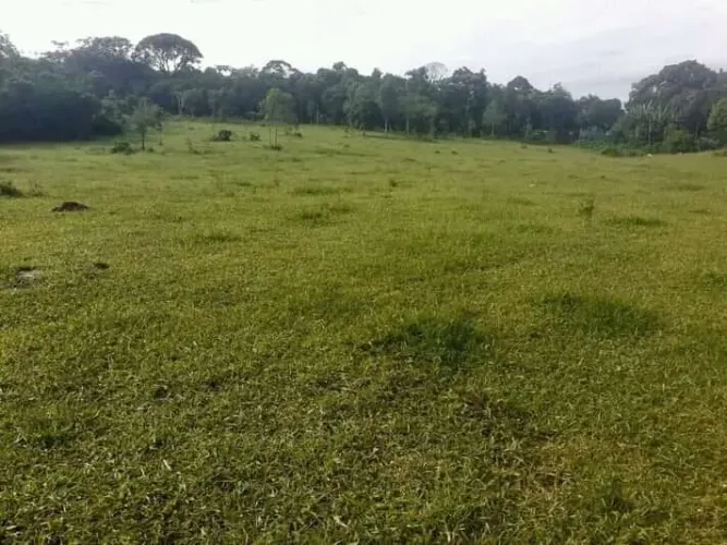 Lote 1000 metros para chacara