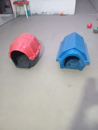 Casinha de cachorro