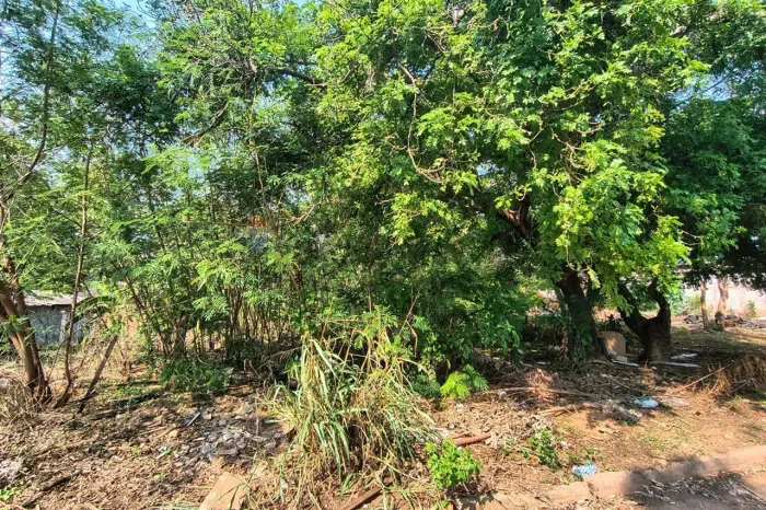 "Terreno Vila Sto Antônio: Bem Localizado e Financeiro"