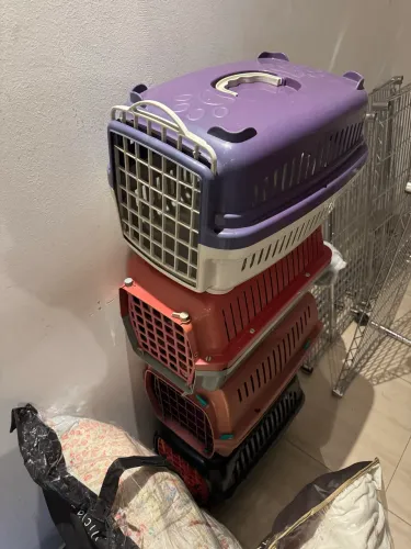 Caixa transporte pet .