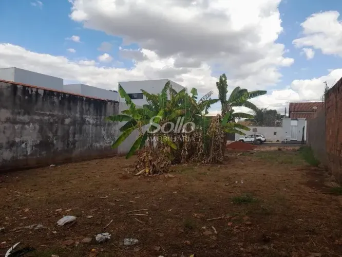 Venda Terreno DONA ZULMIRA