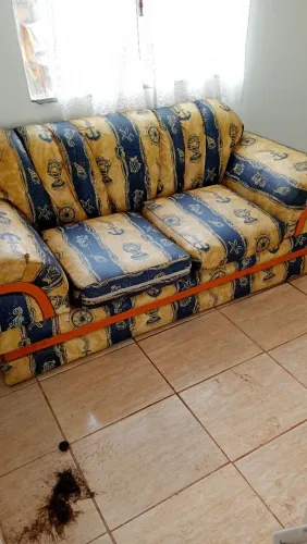 Sofa