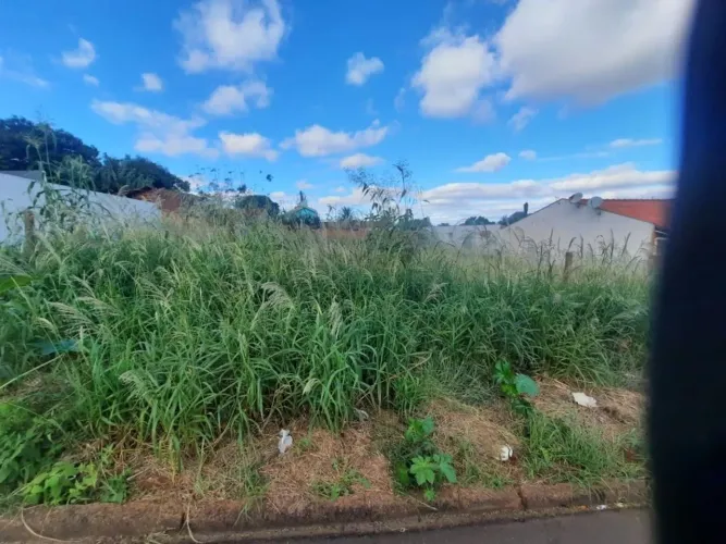 Terreno Residencial à venda, Centro, Toledo - TE1054.