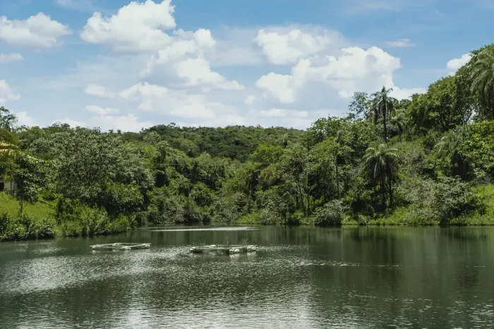 Fazendinhas de 20.000m2 em Condomínio Fechado Perto da Lagoa Central