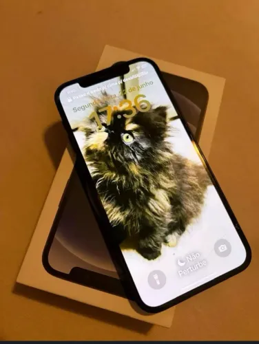 iPhone 12
