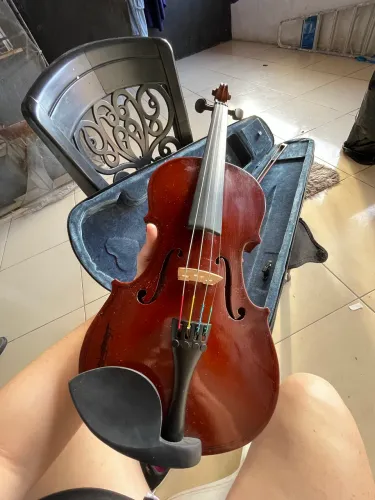 Violino 