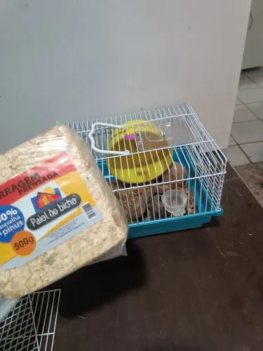 Gaiola pequena completa 