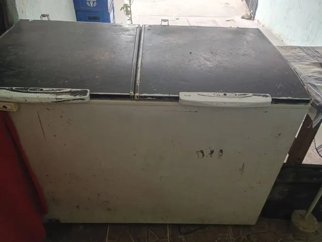 Freezer duas portas 300,00 