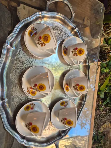 6 xícaras de café pozzani