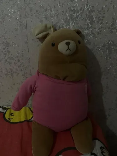 Coelho miniso