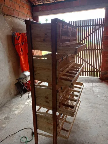 Gaiola para 80 codorna 600 reais