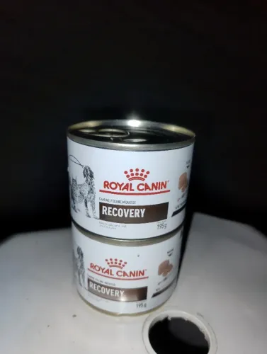 Royal Canin Recovery Gatos/Cães 195g