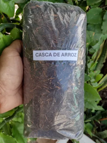 Casca de arroz carbonizada 